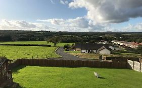 Valley View / Gwel Y Cwm